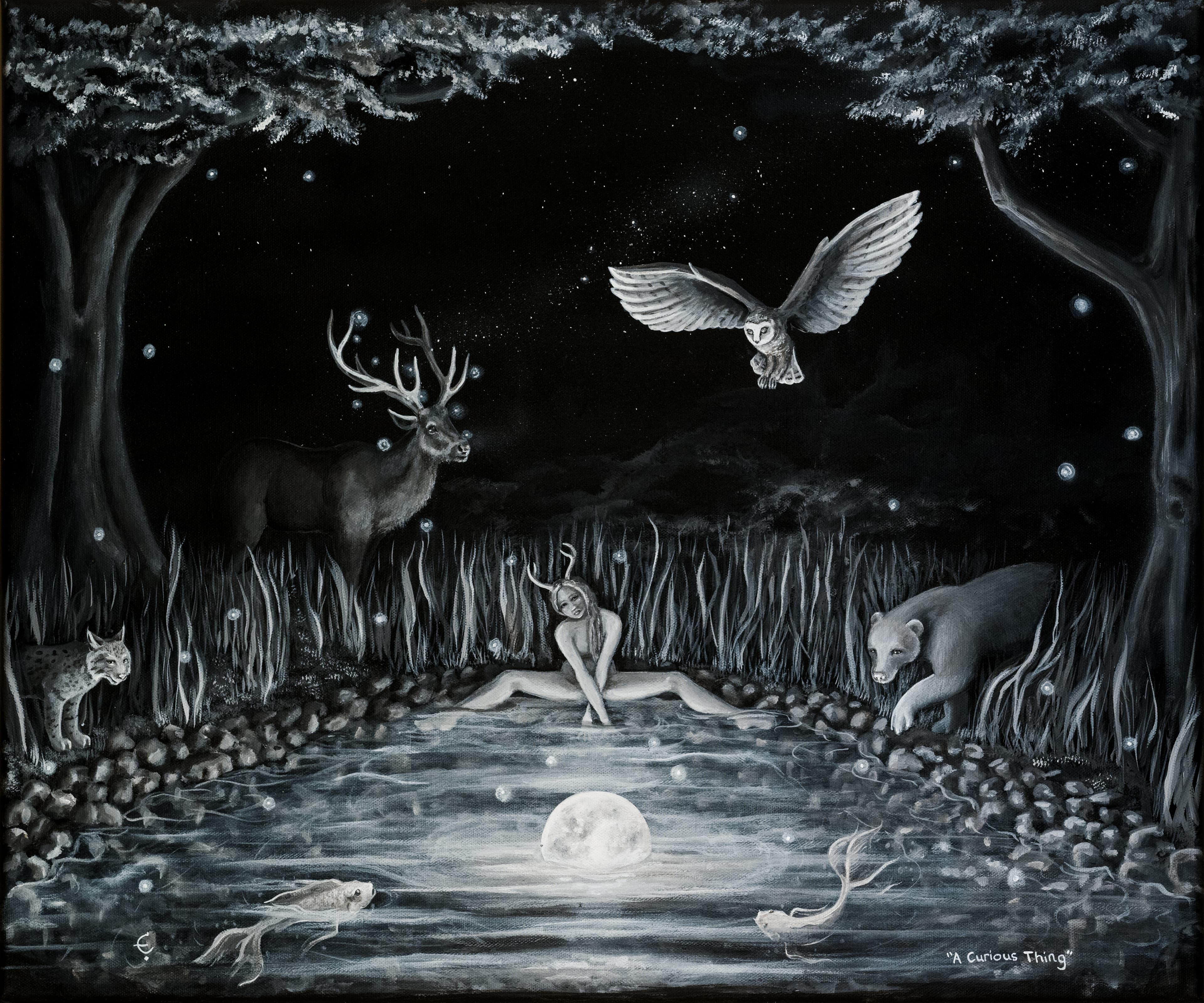 A Curious Thing artwork by Eva Creature.